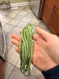 Fingerwoven Bracelet Inspired by Native Practices (green)